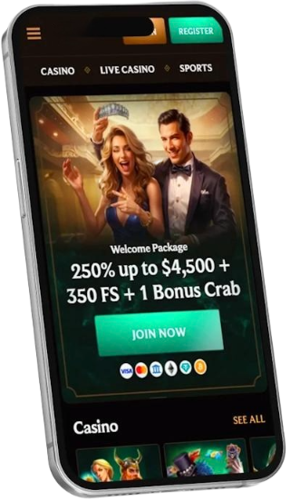 Online Casino App Interface